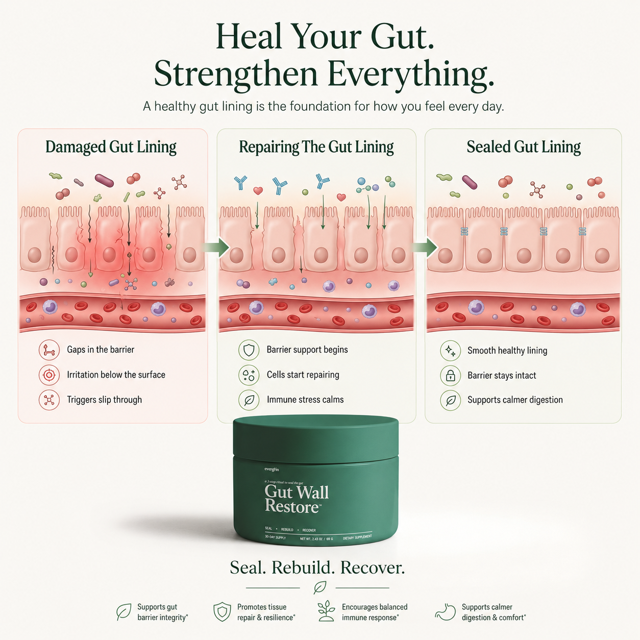Gut Wall Restore™