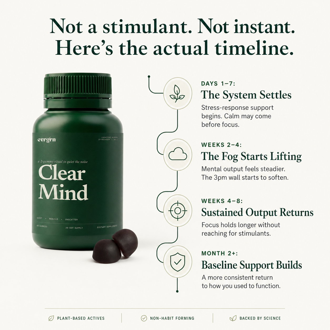 Clear Mind