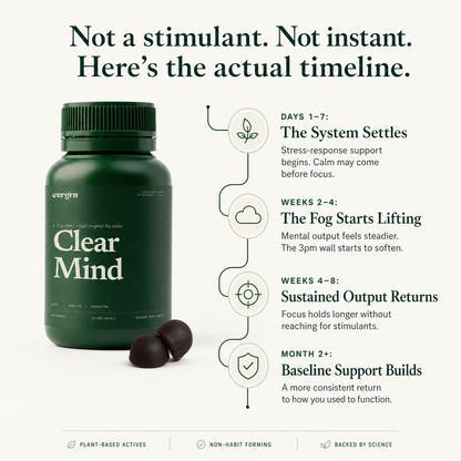 Clear Mind